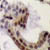 Cells showing Tumor Necrosis Factor-alpha (TNF-a) activity