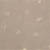 Cell Culture for Endothelial Progenitor cells at Day 6